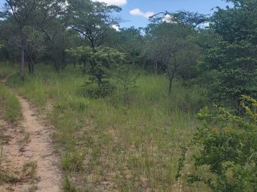 Farm & Agricultural Land