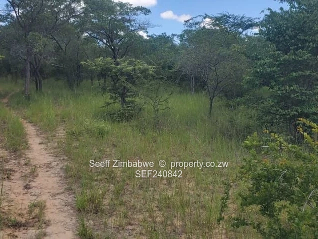 Prime Agricultural Land for Sale in Masvingo 