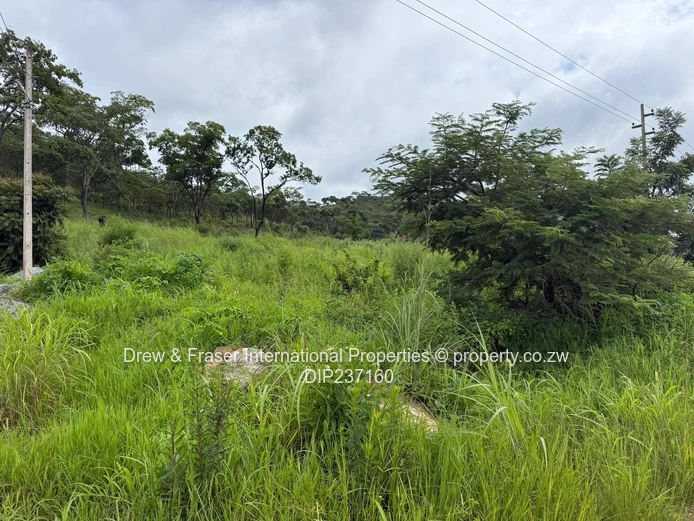 8,191m² Stand in Carrick Creagh Gated Estate for Sale $560k