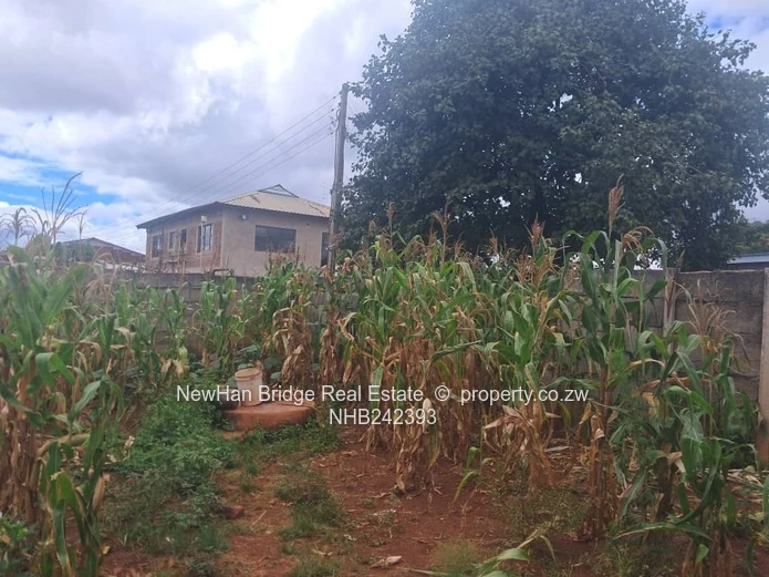 Tynwald Commercial Stand For Sale (Sole Mandate)