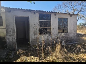 Farm & Agricultural Land