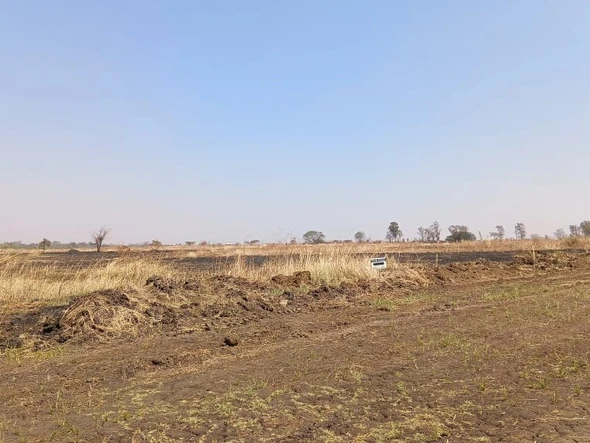 Stands & Residential Land