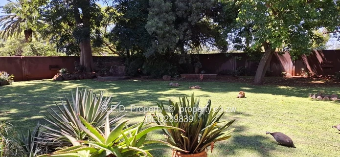 Residential gem, commercial horizon in Suburbs!