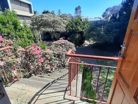 2 Bedroom Flat & Apartment