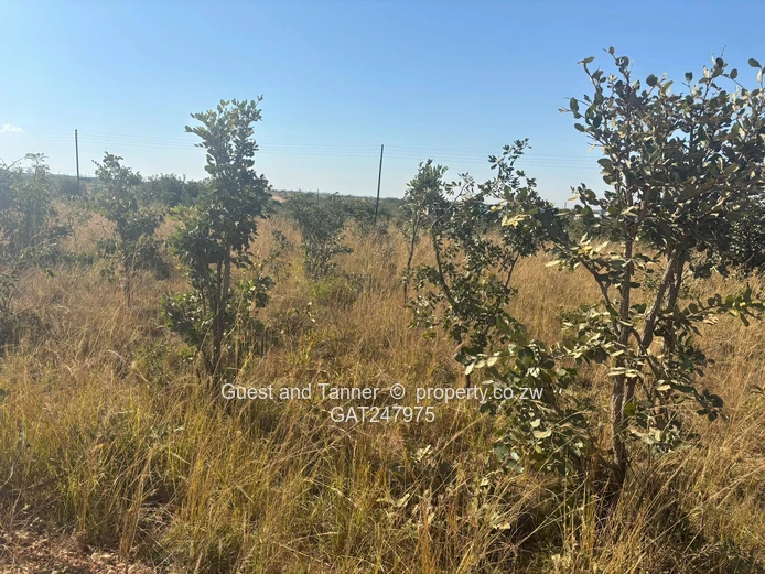 Nyabira Lilfordia Phase 3 Stand For Sale  (Sole Mandate)
