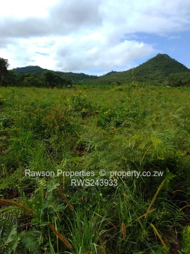 6 Hactare Plot in Bindura!!