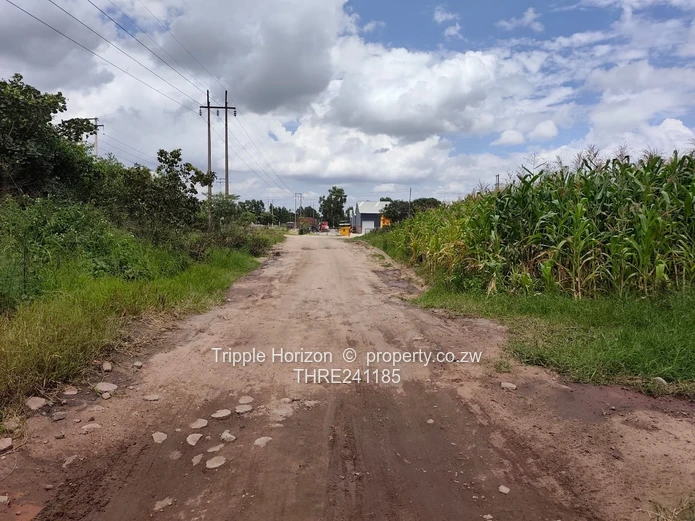 Msasa industrial stand