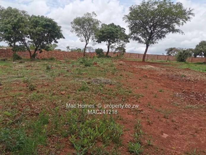 Ready To Build Stand; Gletwin's Finest