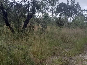 Farm & Agricultural Land