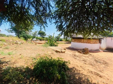 Farm & Agricultural Land