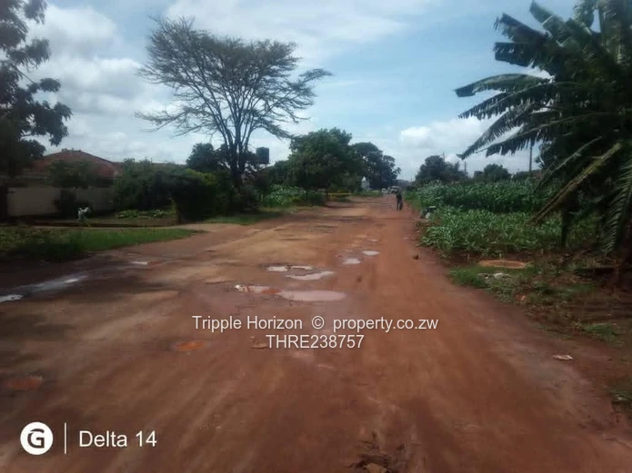 Cold Comfort stand for sale