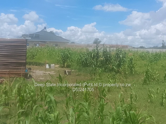 Avonlea Stand for sale 