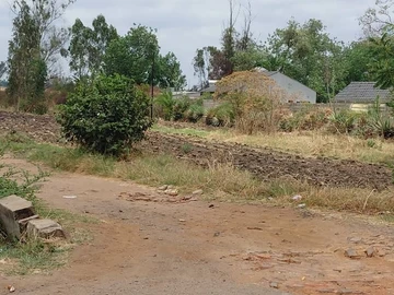 Stands & Residential Land