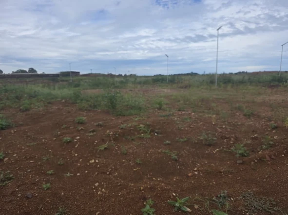 Land