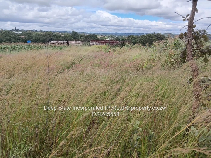 Chishawa Hills stand for sale 