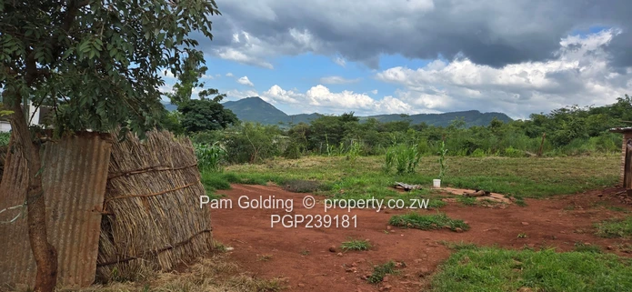 Spacious residential stand near the gold