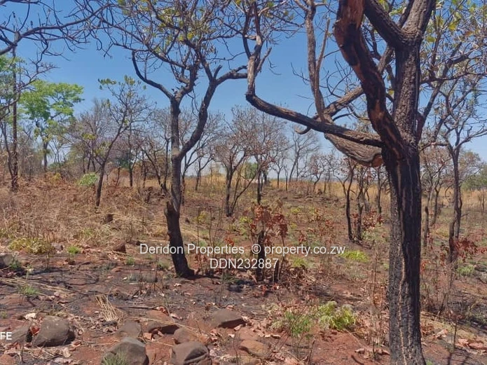 Land for redevelopment 