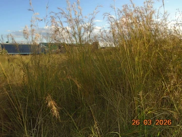 Commercial & Industrial Land