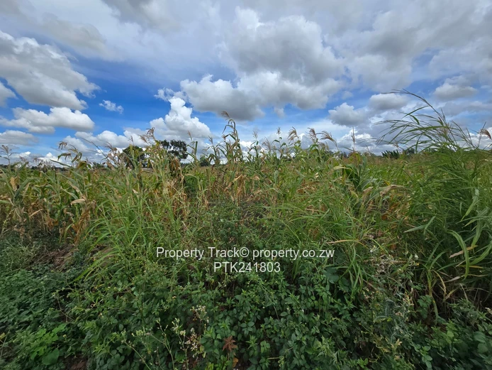 Ready to build stand in Warren Park D