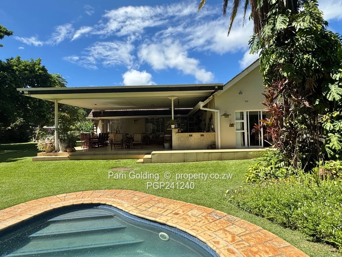 Alexandra Park - Seeing is believing 