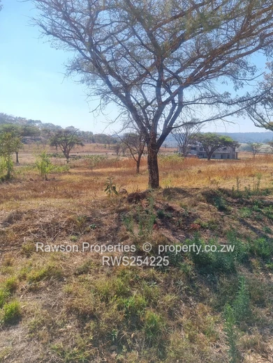 KINSLEY ESTATE 2000m² STAND FOR SALE!!!