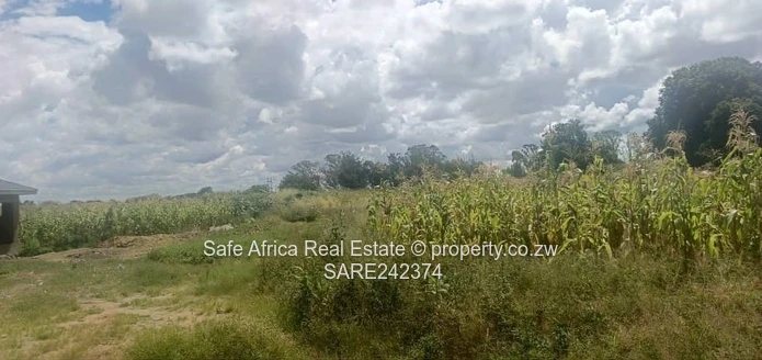 Stands for Sale in Timire Park, Ruwa