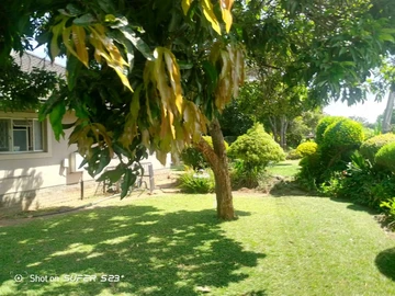 Stunning 4-Bedroom Home with Borehole on Expansive 3,800 m² in Marlborough along Harare Drive.
