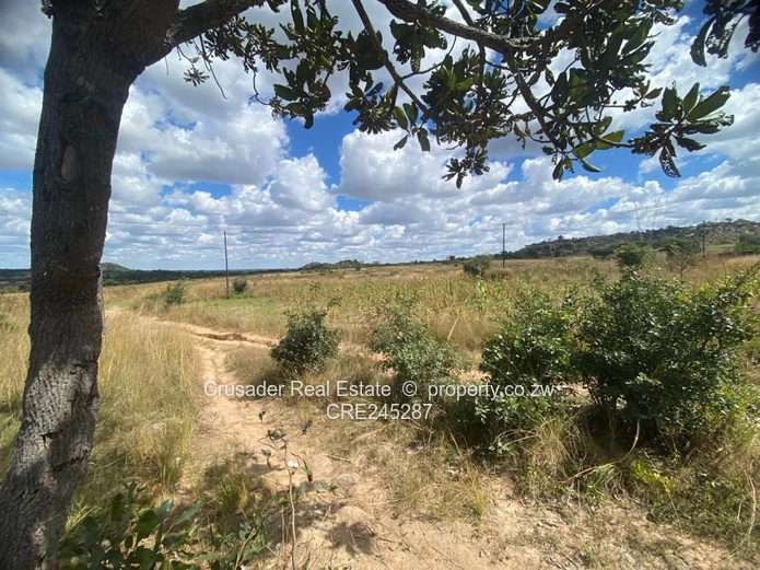 residential stand for sale in Elmswood, Marondera (Sole Mandate)