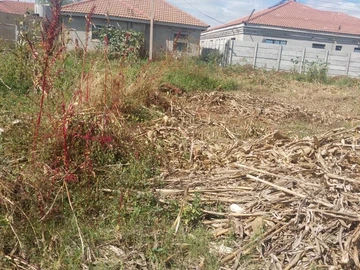 Stands & Residential Land
