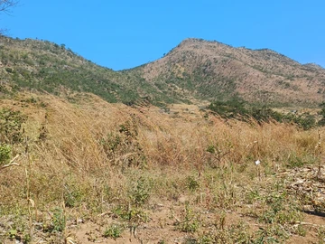 Commercial Stand for Sale in Mutare