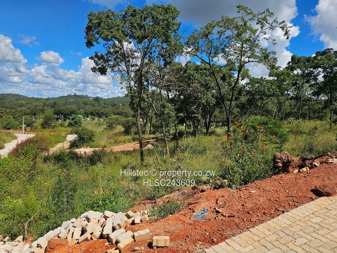 Secured Stand with Paved Access – Carrick Creagh