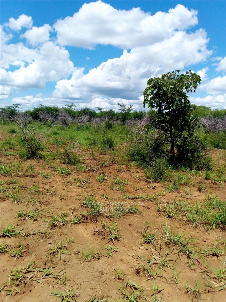 Farm & Agricultural Land for Sale in Kadoma SMY155326