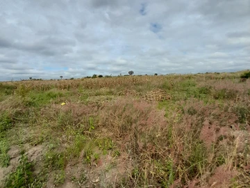 Prime Residential Land in Rydale Ridge, Harare - 512m² Plot