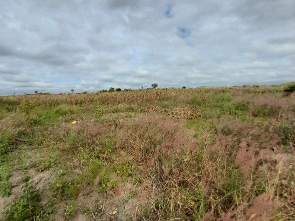 Prime Residential Land in Rydale Ridge, Harare - 512m² Plot