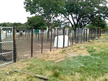 Farm & Agricultural Land