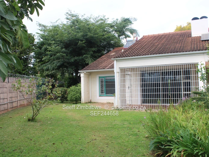 Dandaro Flat For Rent