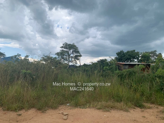 Crowhill In-Fill Stand for Sale (Sole Mandate)