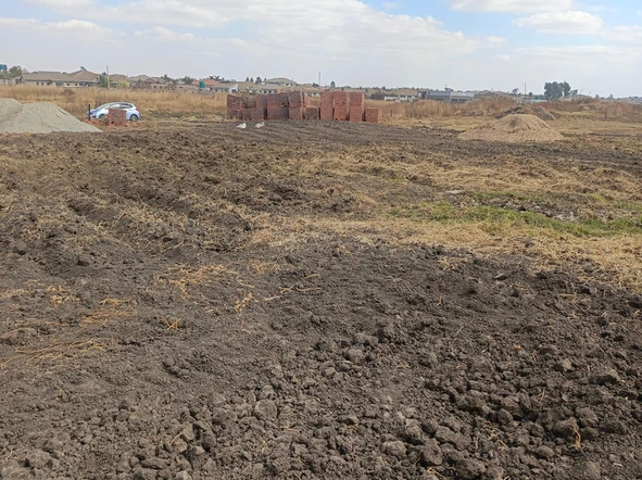 Stands & Residential Land