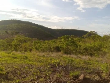 Farm & Agricultural Land