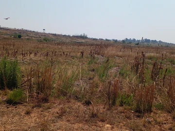 Farm & Agricultural Land