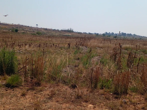 Farm & Agricultural Land