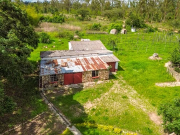 Farm & Agricultural Land