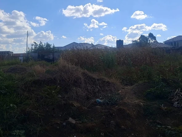 Stands & Residential Land