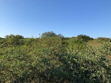 Land
