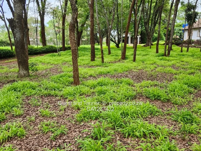 Highlands Prime Land for Sale 1.1 Hectares Ideal for Cluster Development or Luxury Home