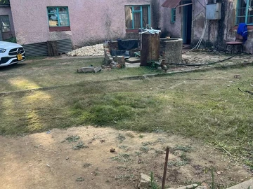 Farm & Agricultural Land