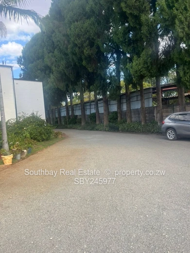 Charming Flat for Sale- Spacious and well Appointed. (Sole Mandate)