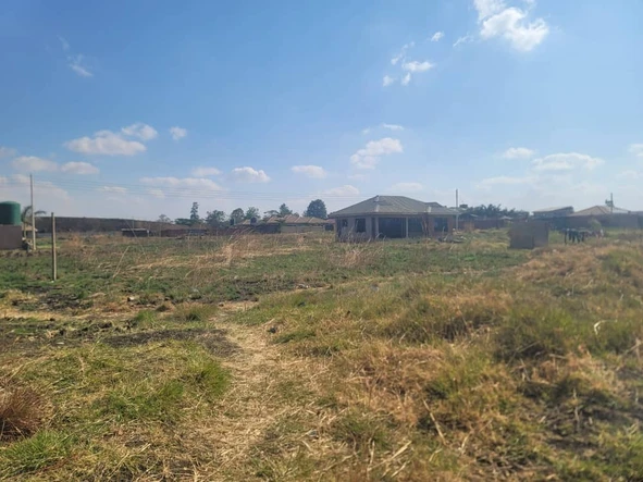 Stands & Residential Land