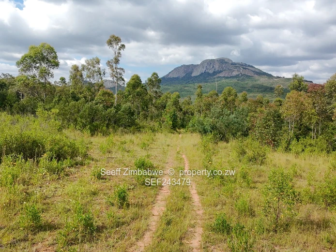 Residential Stand for Sale in Nyanga