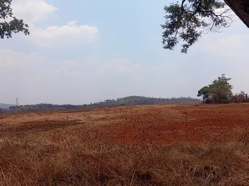 Farm & Agricultural Land